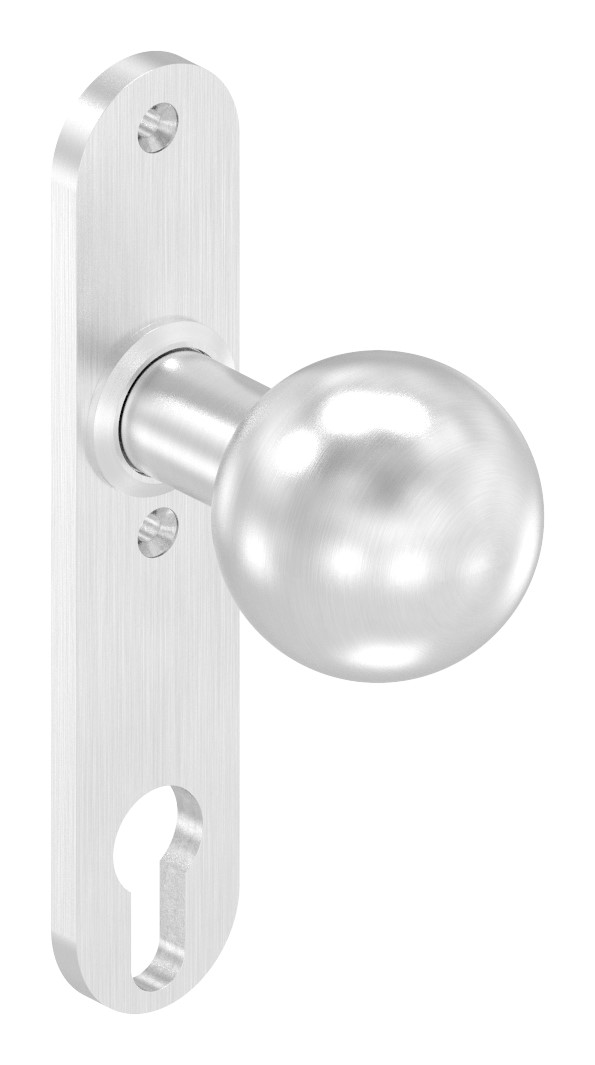 Türknopf, Ø 50mm, mit Langschild, V2A Türknopf, Ø 50mm, mit Langschild, V2A