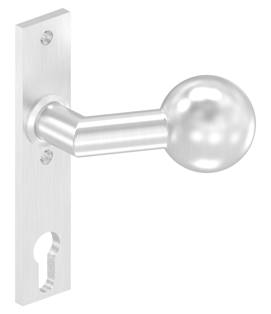 Türknopf, Ø 50mm, mit Langschild, V2A