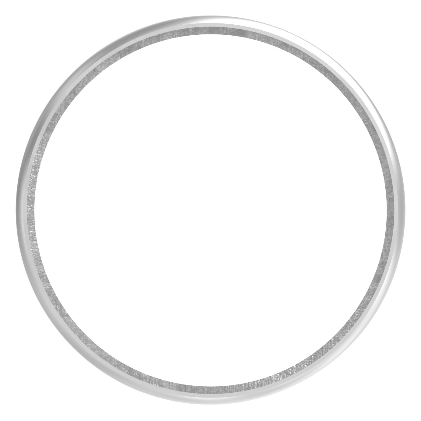Ring für Rohr 48,3mm, V2A
